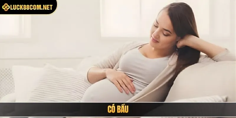 Có bầu